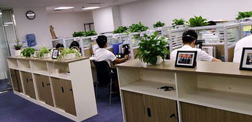 湖南企業管理咨詢行業 賦能企業成長，驅動區域經濟新篇章